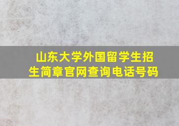 山东大学外国留学生招生简章官网查询电话号码