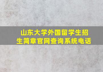 山东大学外国留学生招生简章官网查询系统电话