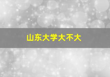 山东大学大不大