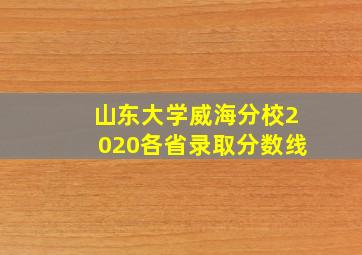 山东大学威海分校2020各省录取分数线