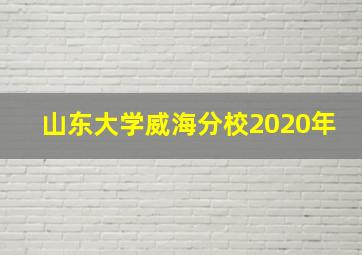 山东大学威海分校2020年