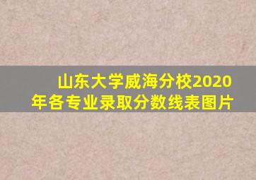 山东大学威海分校2020年各专业录取分数线表图片