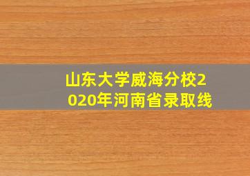 山东大学威海分校2020年河南省录取线