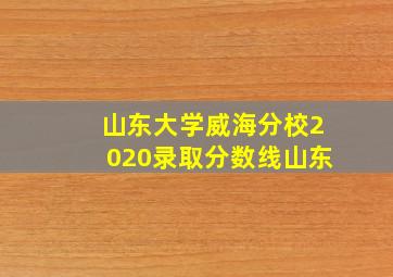 山东大学威海分校2020录取分数线山东