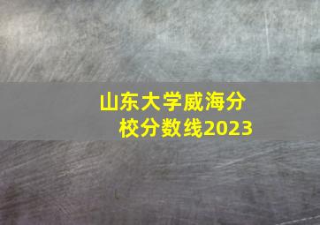 山东大学威海分校分数线2023