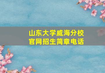 山东大学威海分校官网招生简章电话