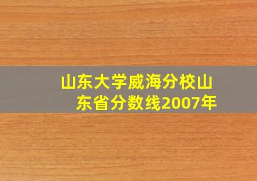 山东大学威海分校山东省分数线2007年