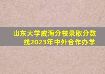 山东大学威海分校录取分数线2023年中外合作办学