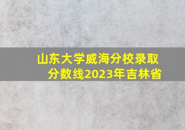 山东大学威海分校录取分数线2023年吉林省