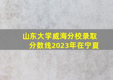 山东大学威海分校录取分数线2023年在宁夏