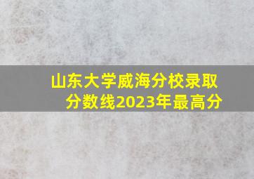 山东大学威海分校录取分数线2023年最高分