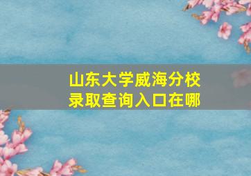 山东大学威海分校录取查询入口在哪