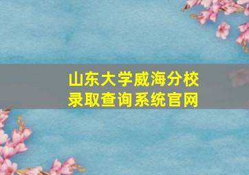 山东大学威海分校录取查询系统官网