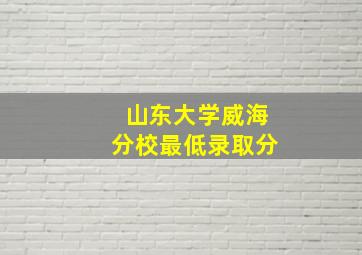 山东大学威海分校最低录取分