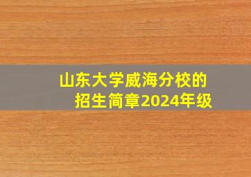 山东大学威海分校的招生简章2024年级