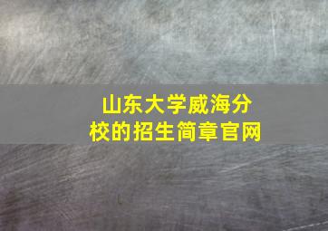 山东大学威海分校的招生简章官网