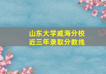 山东大学威海分校近三年录取分数线