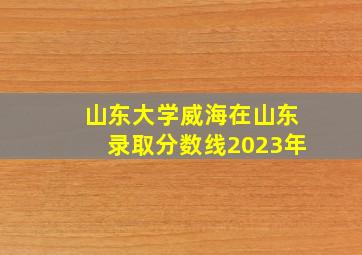 山东大学威海在山东录取分数线2023年