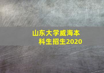 山东大学威海本科生招生2020