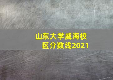 山东大学威海校区分数线2021