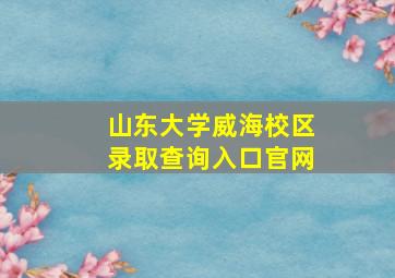 山东大学威海校区录取查询入口官网