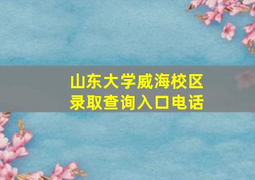 山东大学威海校区录取查询入口电话