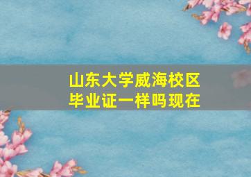 山东大学威海校区毕业证一样吗现在