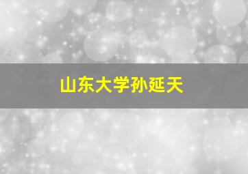 山东大学孙延天