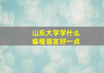 山东大学学什么编程语言好一点