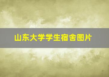 山东大学学生宿舍图片