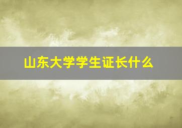 山东大学学生证长什么