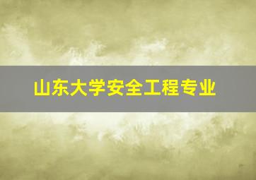 山东大学安全工程专业