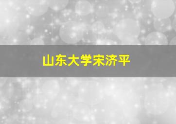 山东大学宋济平