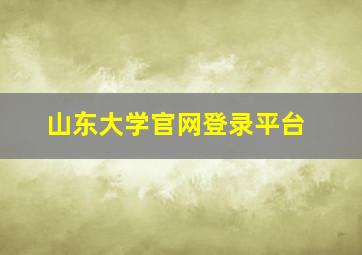 山东大学官网登录平台