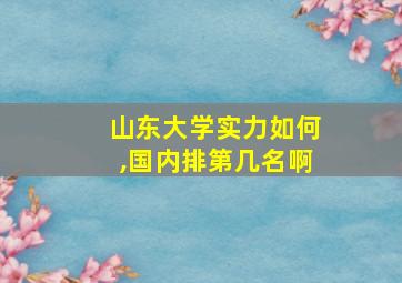 山东大学实力如何,国内排第几名啊