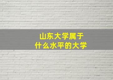 山东大学属于什么水平的大学