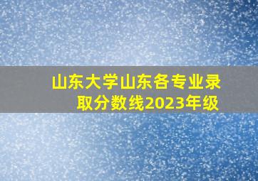 山东大学山东各专业录取分数线2023年级