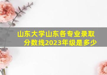 山东大学山东各专业录取分数线2023年级是多少