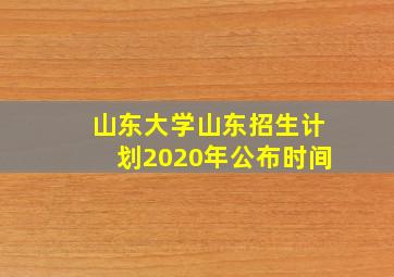 山东大学山东招生计划2020年公布时间