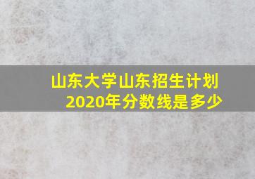 山东大学山东招生计划2020年分数线是多少