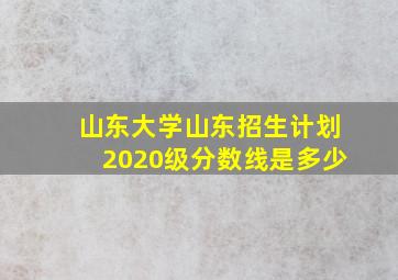 山东大学山东招生计划2020级分数线是多少