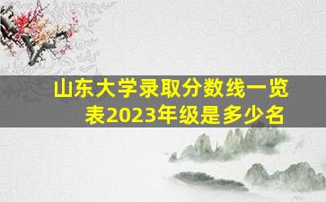 山东大学录取分数线一览表2023年级是多少名