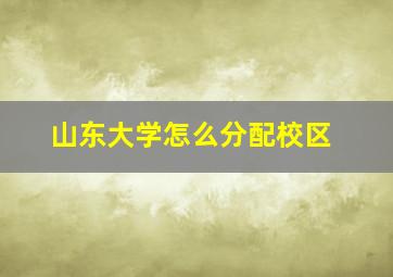 山东大学怎么分配校区