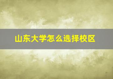 山东大学怎么选择校区