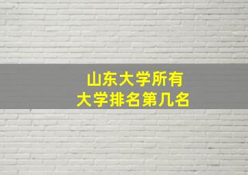 山东大学所有大学排名第几名