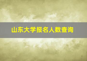 山东大学报名人数查询