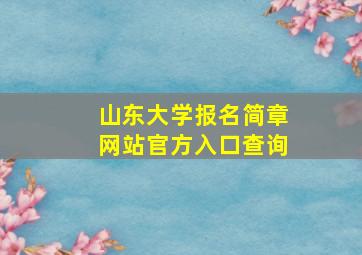 山东大学报名简章网站官方入口查询