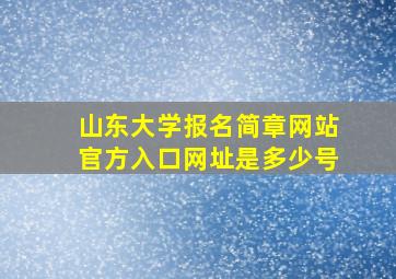 山东大学报名简章网站官方入口网址是多少号