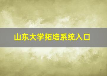 山东大学拓培系统入口