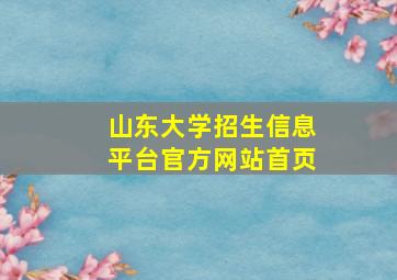 山东大学招生信息平台官方网站首页